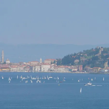 Appartamento Del Golfo, Mit Garten Und Pool Savudrija